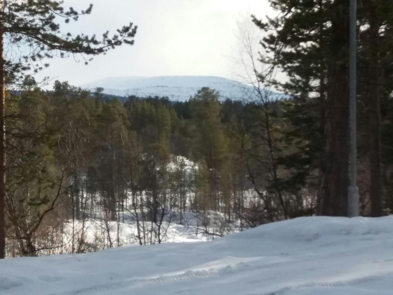 Paltto Elaemysretket Lemmenjoki Quarto foto