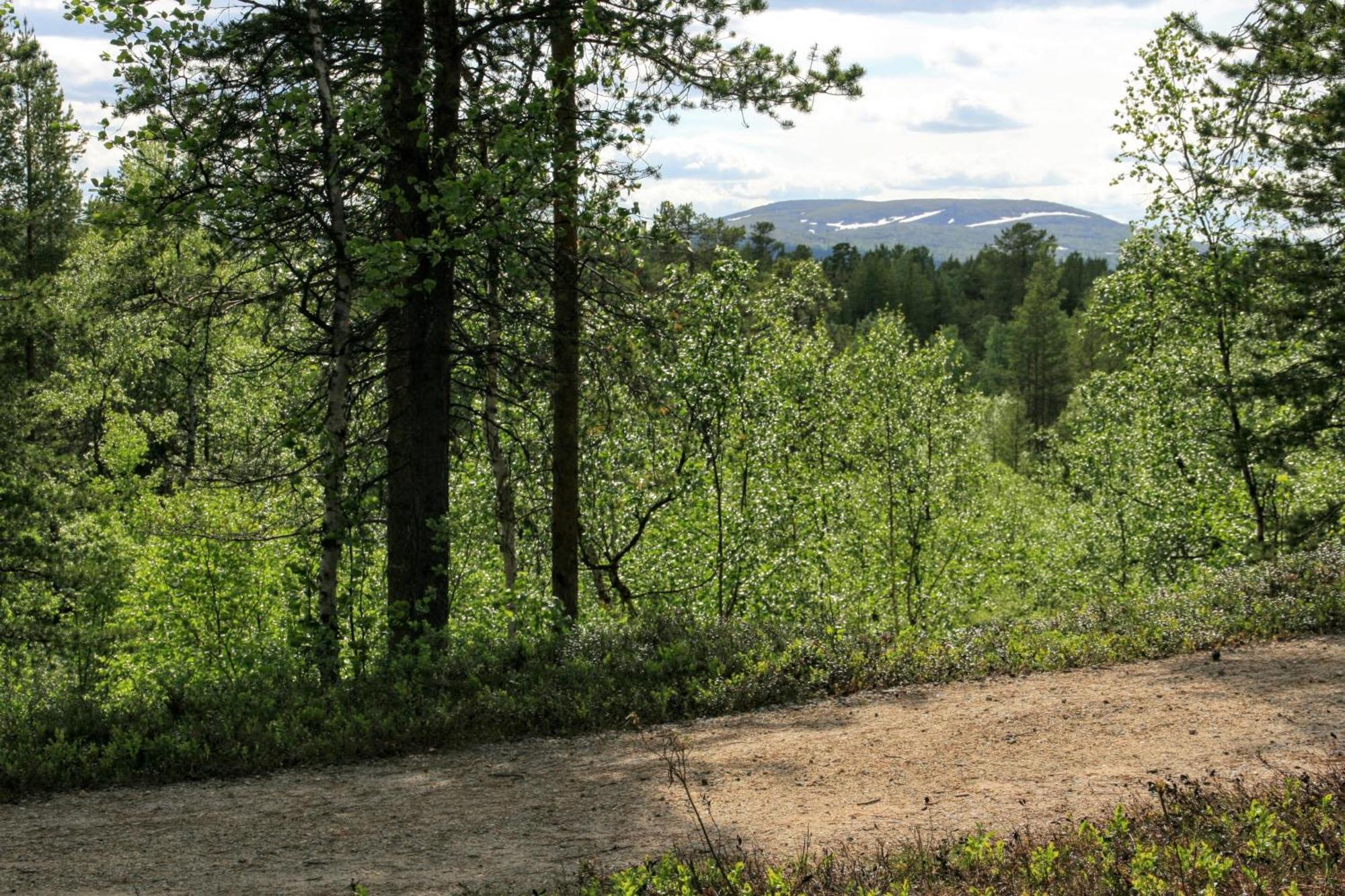 Paltto Elaemysretket Lemmenjoki Quarto foto