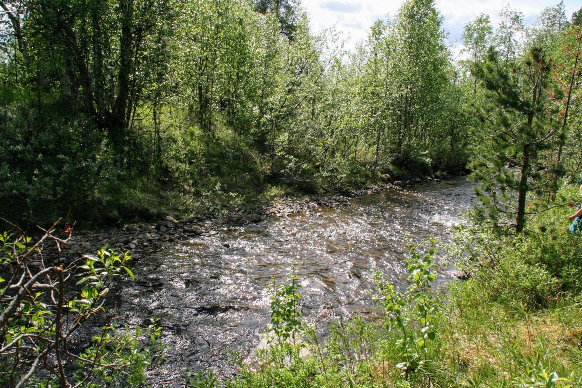 Paltto Elaemysretket Lemmenjoki Quarto foto